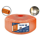 Tigre