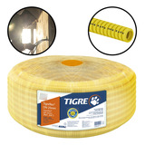 Tigre
