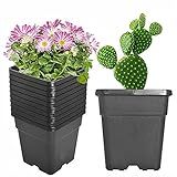 Elfinrm Vasos De Berçário Quadrados Para Plantas Potes De Plástico Moldado Por Injeção Recipiente Para Plantas Pacote Com 10
