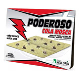 Elimina Mata Mosca Fita Pega Moscas Armadilha 1 Cartela