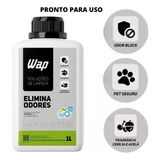 Wap