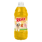 Eliminador De Odores Pet Cães Reax 2 L Verbena Limpeza Canil
