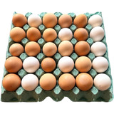 Embalagem Bandeja Para 30 Ovos De Galinha Kit 50 Unidades Cor Verde Epm