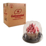 Embalagem Galvanotek G690 Cupcake mini Panettone 50un 