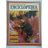 Enciclopédia Bloch 03 Ano 1967 A Doce Vida Das Abelhas
