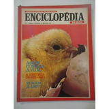 Enciclopédia Bloch 04 Ano 1967 Assim Começa A Vida