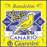 Encordoamento Bandolim Giannini Canario