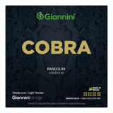 Encordoamento Bandolim Giannini Cobra Bronze Cm82l