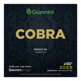 Encordoamento Bandolim Giannini Cobra Bronze Cm82l