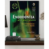 Endodontia Princípios E Prática Torabinejad 4