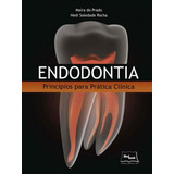 Endodontia Princípios Para Prática Clínica