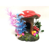 Betta