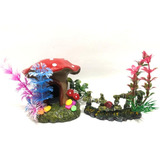 Betta