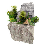 Plantas