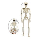 Anatomia