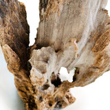 Enfeite Para Aquários Fontes E Lagos Tronco Raiz Natural