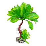 Decoração