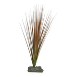 20cm