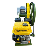 Engenho De Cana Rolos Inox Motor Gasolina 6 5 Frete Grátis