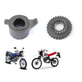 Xlr125