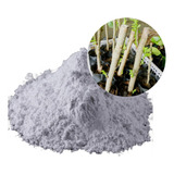 Enraizado Puro Hormônio Aib 6000ppm 500g Ácido Indolbutírico