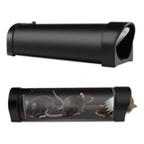 Ratoeiros