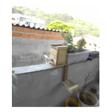 Jatai