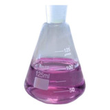 Erlenmeyer Graduado Com Junta 24 40 125ml