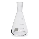 Erlenmeyer Graduado Com Junta 24 40 250ml esp