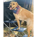 Escada Para Cachorro Gato Pet Tubline Rampa Dobrável 40 Kg