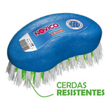 Noviça