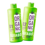 Escova Progressiva De Quiabo Organic 2x1000ml