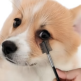 Pets