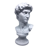Escultura Busto Davi david De Michelangelo