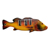 Escultura Para Parede Peixe Tucunaré Em Fibra De Vidro