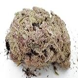 Esfagno Musgo - Substrato Para Terrários- Suculentas E Orquídeas - 3L
