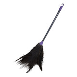Uni