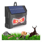 Espantar Urubu Solar Para Jardim E Ar Livre Gato Eletronico
