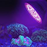 Espectro Completo 150LED 100W E27 Planta Grow Light Lamp De Alta Eficiência Para Plantas Com Efeito De Estufa Crescimento De Flores