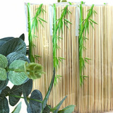 Espeto Palito Bambu Petisco 15cm Com 2 000 Unid