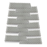 Espícula Branca Espanta Pombos Gatos Espinhos Muro 10pcs 4m