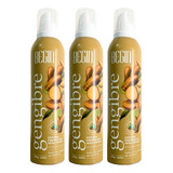 Espuma Sabor Gengibre Begin Drinks Moskow Mule 220ml 3 Und 