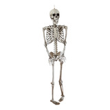 Esqueleto Corpo Humano 95 Cm Medicina