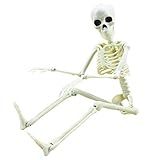 Esqueleto De Halloween De 40 6