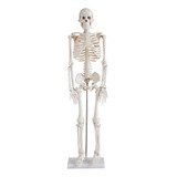 Esqueleto Humano 85 Cm Com Haste