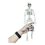 Esqueleto Humano Ativo Modelo Anatomia Arte Esboço 40cm