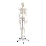 Fisioterapia