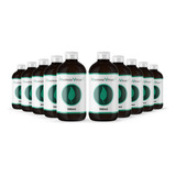 Essência Concentrada 100ml 10 Unid aromatizante Difusor 