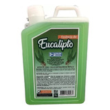 Essência De Eucalipto Concentrado Para Sauna 1 Litro