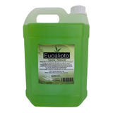 Essência De Eucalipto Concentrado Para Sauna 5 Litros